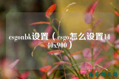 csgonbk设置(csgo怎么设置1440x900)