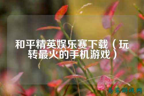 和平精英娱乐赛下载（玩转最火的手机游戏）