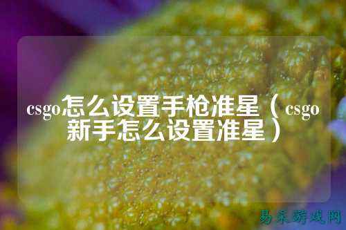 csgo怎么设置手枪准星（csgo新手怎么设置准星）