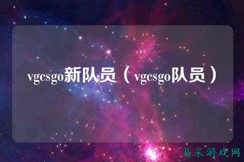 vgcsgo新队员（vgcsgo队员）