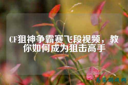 CF狙神争霸赛飞段视频，教你如何成为狙击高手