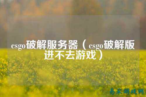 csgo破解服务器（csgo破解版进不去游戏）