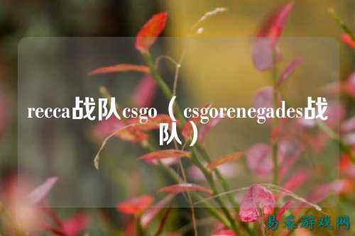 recca战队csgo(csgorenegades战队)