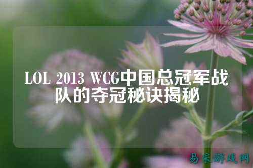 LOL 2013 WCG中国总冠军战队的夺冠秘诀揭秘