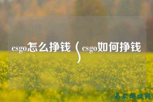 csgo怎么挣钱(csgo如何挣钱)