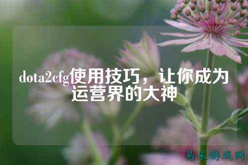 dota2cfg使用技巧,让你成为运营界的大神