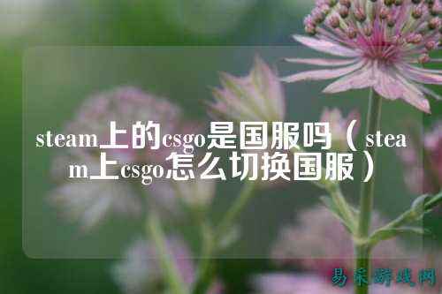 steam上的csgo是国服吗(steam上csgo怎么切换国服)