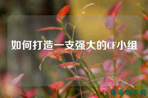 如何打造一支强大的CF小组