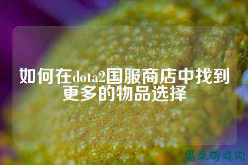 如何在dota2国服商店中找到更多的物品选择