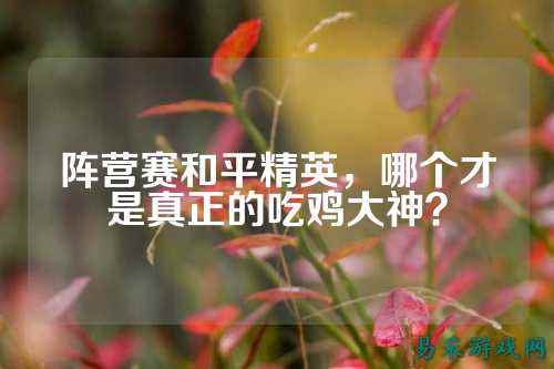 阵营赛和平精英,哪个才是真正的吃鸡大神?