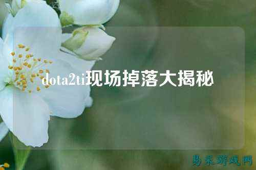 dota2ti现场掉落大揭秘