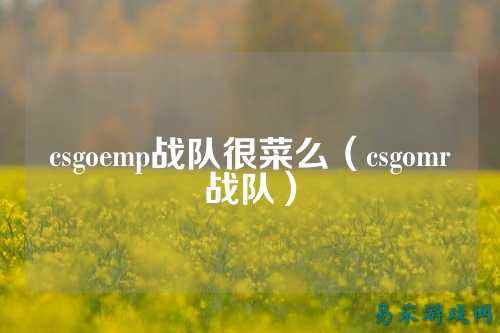 csgoemp战队很菜么（csgomr战队）