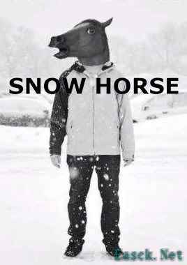 体育游戏游戏有哪些 热门体育游戏游戏精选