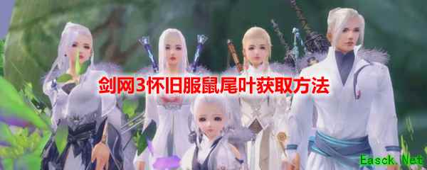 剑网3怀旧服鼠尾叶获取方法