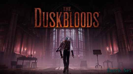 宫崎英高新作《The Duskbloods》首批截图 Switch 2独占