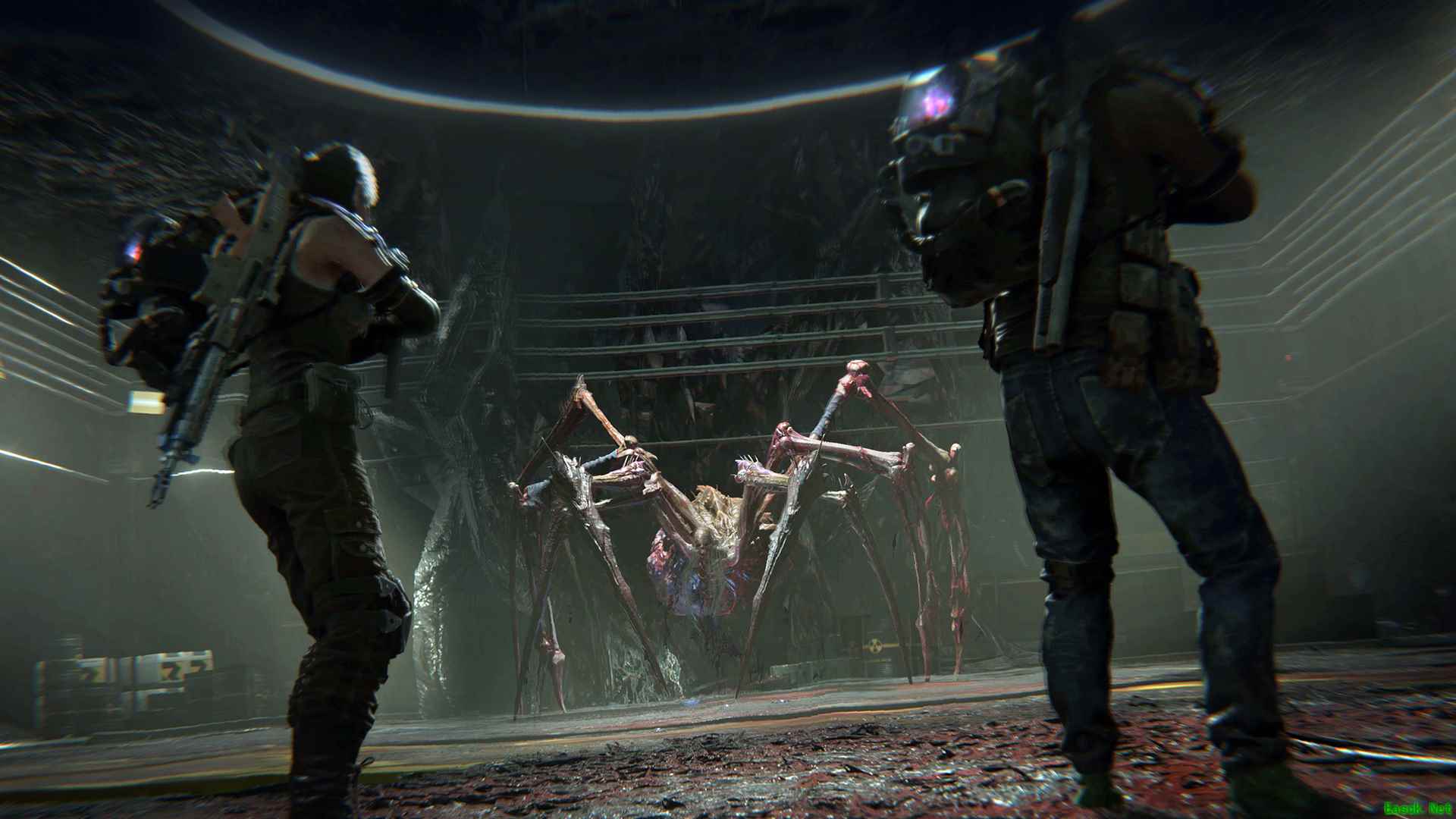 七日世界BOSS厄面蛛母介绍