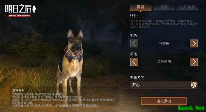 一人一狗，踏上末日废土征程