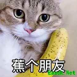 【大河怼策划】交易区真的要来啦！