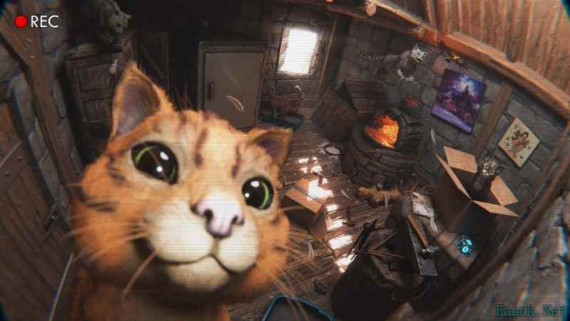 《方舟生存飞升》可爱新生物“猫”上线,性格各异,猫党狂喜
