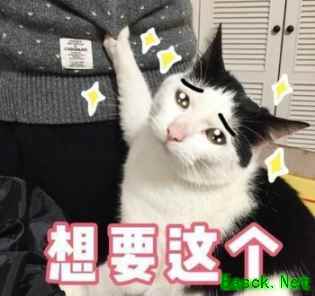 大话2漫画日历19日重新上架 限量抢购机不可失
