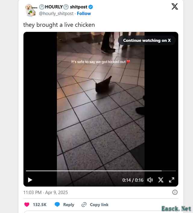 《我的世界》大电影引发影院混乱事件