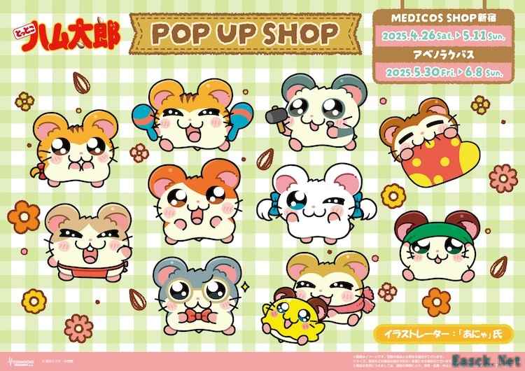 《哈姆太郎》快闪店来袭，限定周边等你抢！