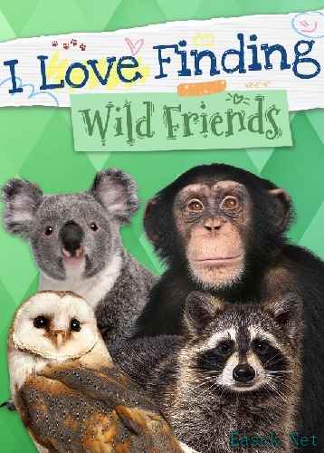 马匹游戏大全 十大耐玩马匹游戏精选