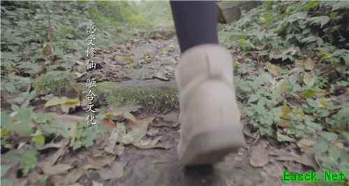 另类沉浸式体验，仙剑奇侠传4的熊猫仙剑情