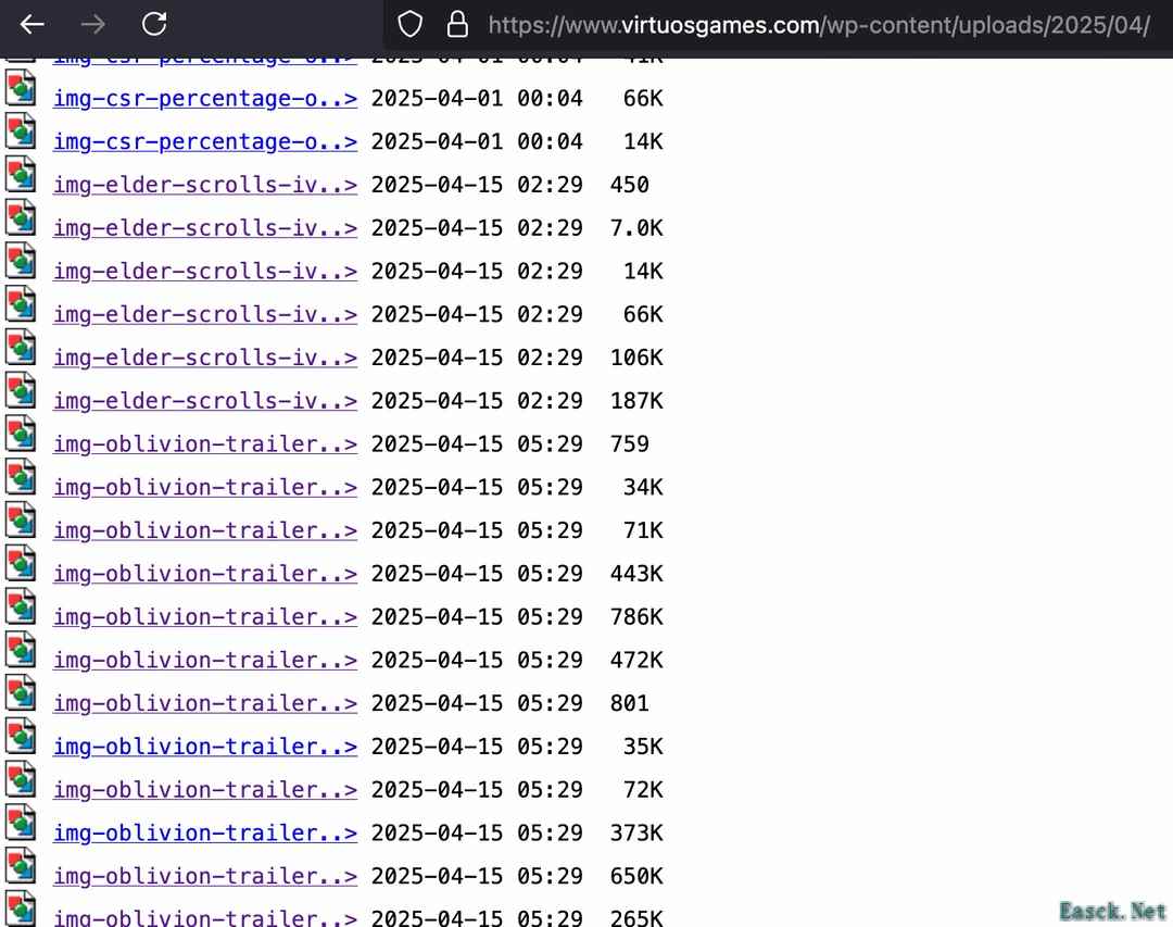 《老滚4》重制版惊艳曝光：首张截图揭示详尽细节