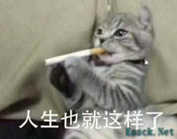 游戏更新触发变革：男子因不满内容炒老板鱿鱼记
