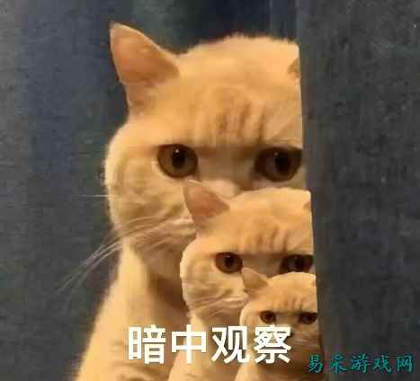 当拉格朗日遇上地球日，玩家还能参与“中国奇迹”？百连抽卡不香了！