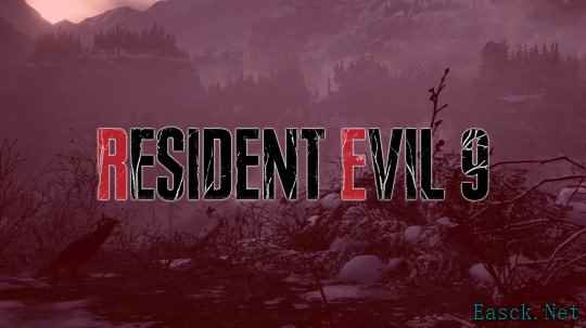 Capcom疑似偷偷暗示了《生化危机9》
