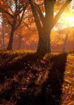 工艺游戏下载 十大耐玩工艺游戏排行