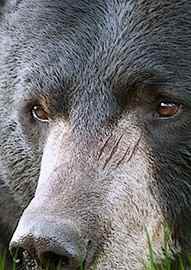 垂直卷轴游戏有哪些 高人气垂直卷轴游戏推荐