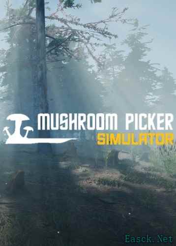 六自由度游戏哪些值得玩 十大必玩六自由度游戏排行榜前十