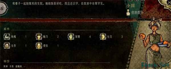 苏丹的游戏小圆人物事件介绍说明