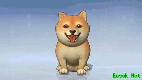 呆萌柴犬登录风云岛！宠物时装功能同步上线