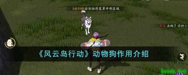 《风云岛行动》动物狗作用介绍