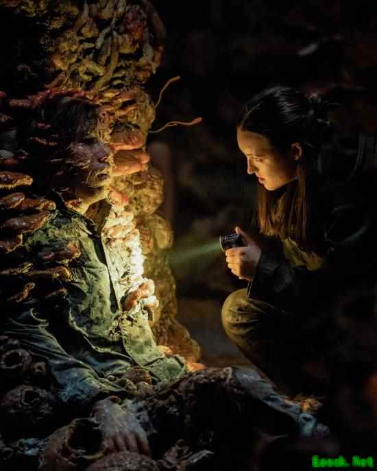 /news/2025/05-13/877853.shtml