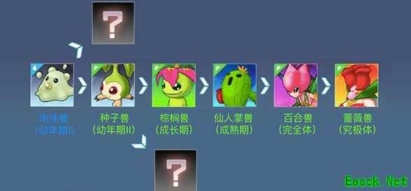 《数码宝贝：相遇》进化玩法介绍