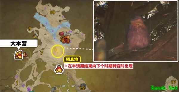 怪物猎人荒野美声歌鸮具体位置分享
