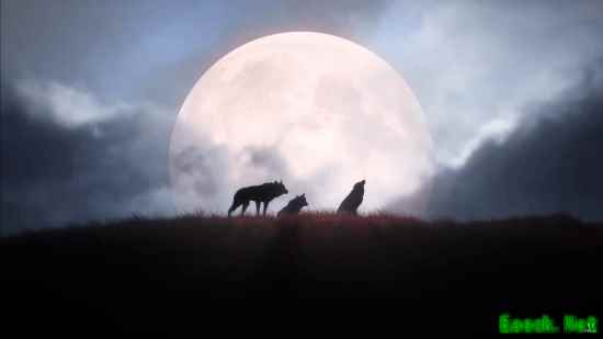 《前巫师团队新作黎明行者之血发布全新预告片》