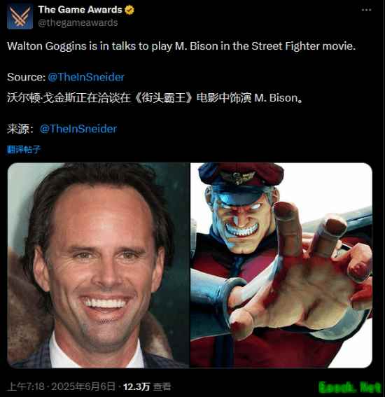 沃尔顿·戈金斯或将出演《街头霸王》真人电影反派维加