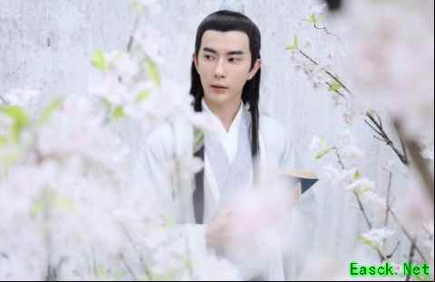 《三生三世十里桃花》白真上神下凡历劫？转生《新白娘子传奇》最帅许仙