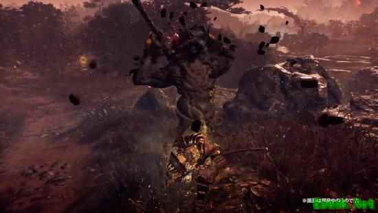 《仁王3》全新演示：多种多样的武士武器！