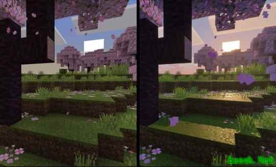 /news/2025/06-16/889474.shtml