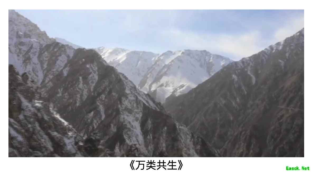 明日方舟：万类共生宣传片选入中国（深圳）国际气候影视大会企业社会责任影像巡展