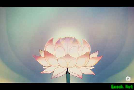 九色鹿的PV中竟然还有这些细节