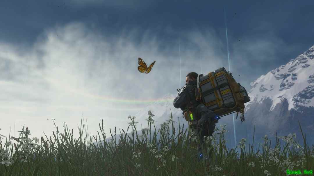 /news/2025/06-25/897061.shtml