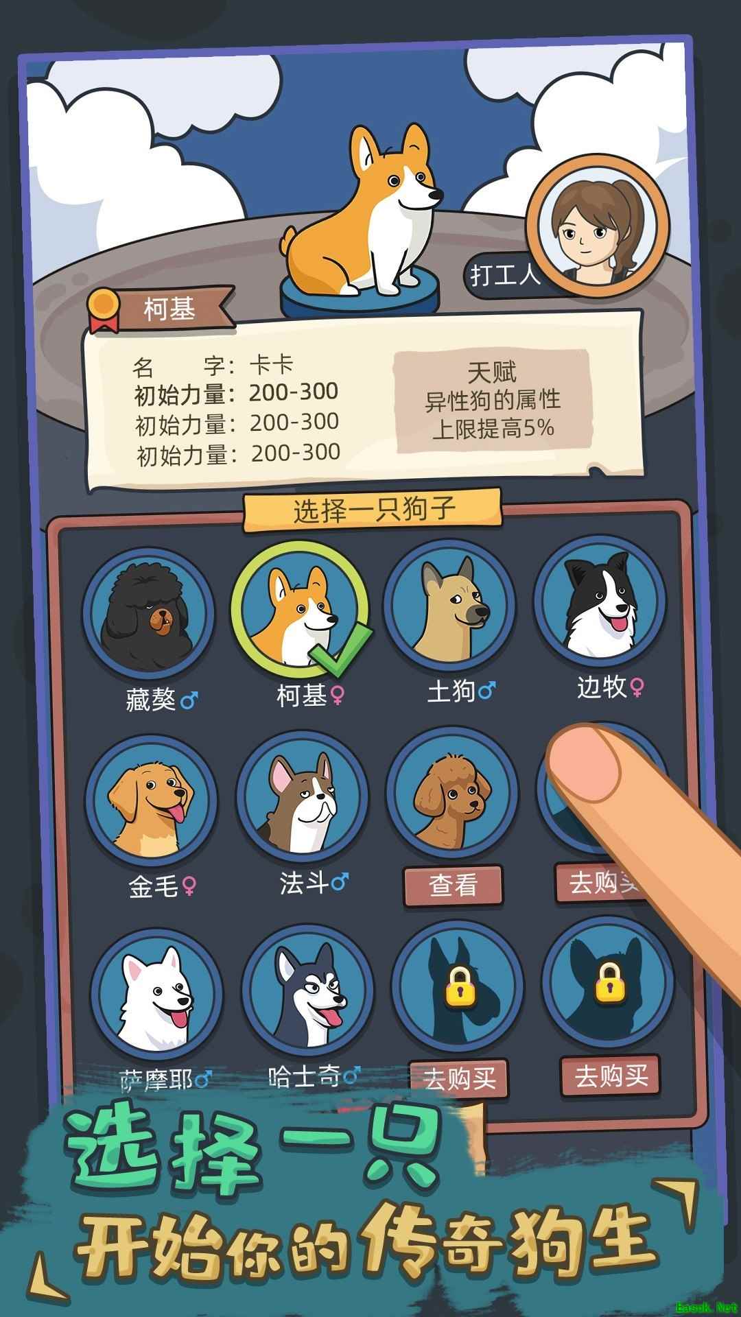 动物游戏大全 高人气动物游戏排行榜前十